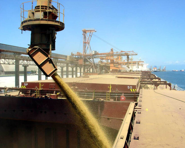 port-zerno