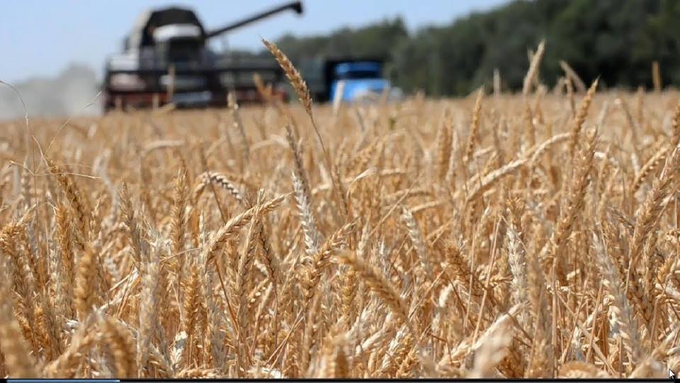 picture2_agrarii-v-2018-go_349726_p0 Падіння цін на нафту негативно вплине на агробізнес — експерт