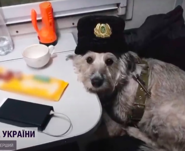 Снимок экрана 2022-04-26 в 15.59.44